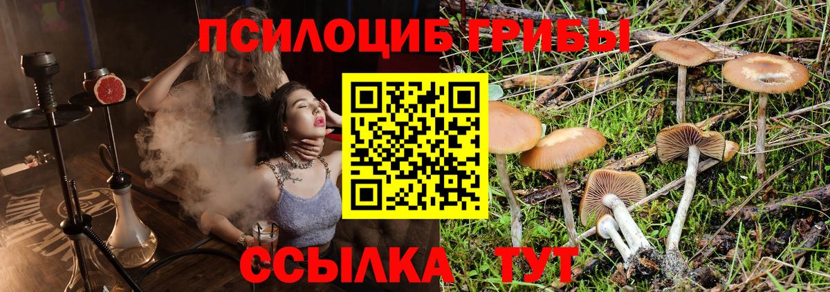 Канабис  Гашиш  Героин  Alpha PVP СК кристаллы  Нальчик  Мефедрон   КОКАИН  Вход с VPN  MDMA 