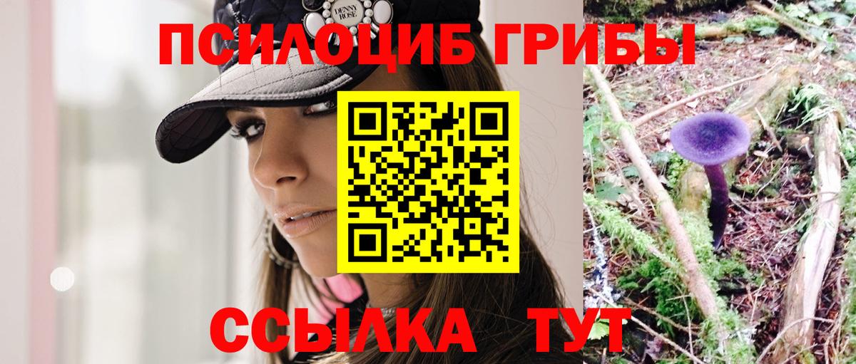 Псилоцибиновые грибы MAGIC MUSHROOMS  Вход с VPN  Нальчик 